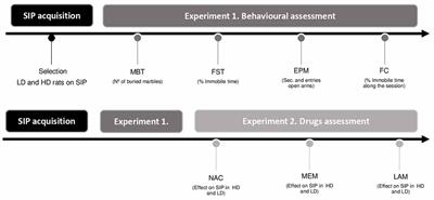 Increased Fear Memory and Glutamatergic Modulation in Compulsive Drinker Rats Selected by Schedule-Induced Polydipsia